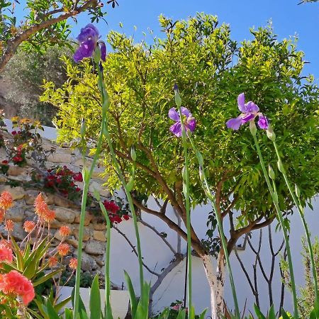 Arhondia House Villa Ierapetra  Bagian luar foto